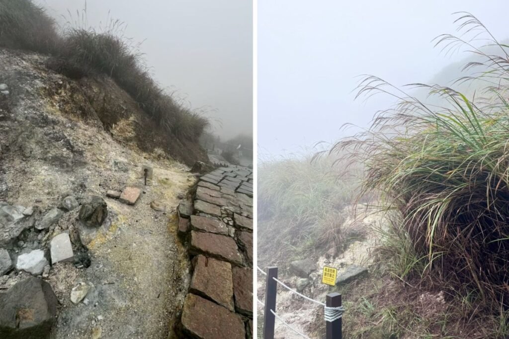 台北陽明山小油坑後火山作用噴氣孔與銀白芒草景致