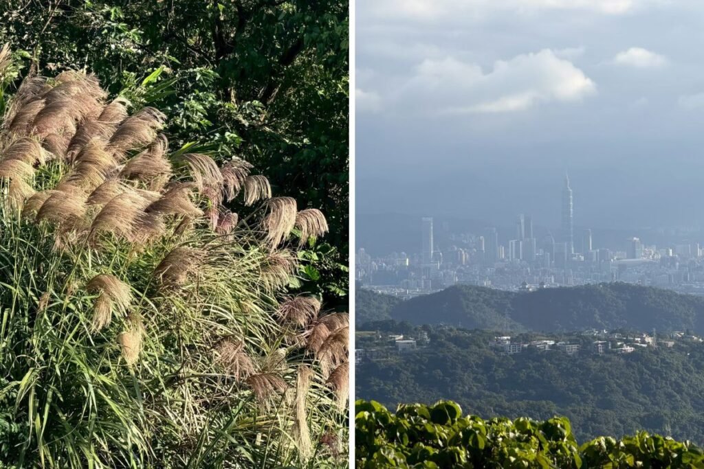 台北陽明山轉場空檔導遊將我們引領至另一處隱藏版拍照熱點