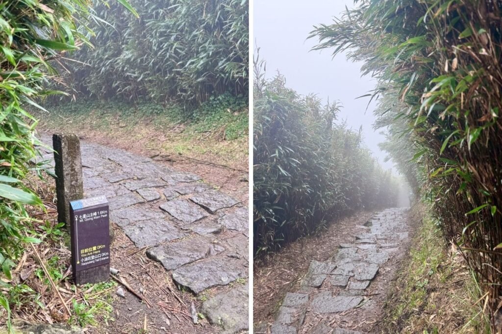 連接冷水坑與擎天崗的冷擎步道是陽明山最溫柔的緩衝地帶，平均海拔 700 多公尺的森林路徑平緩舒適、沿途綠蔭如毯。