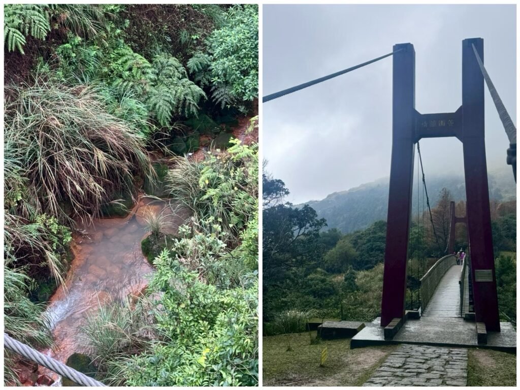 右邊照片橫跨在青山之間的菁山吊橋，是園區內絕無僅有的唯一存在。