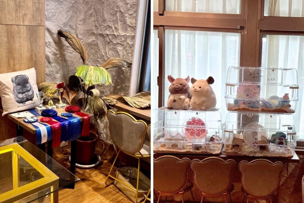 悠悠龍貓咖啡二樓周邊展示櫃與溫馨座位區