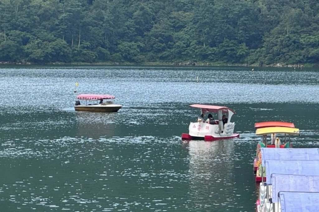 花蓮鯉魚潭湖面上悠閒踩著天鵝船與電動船的遊客景色