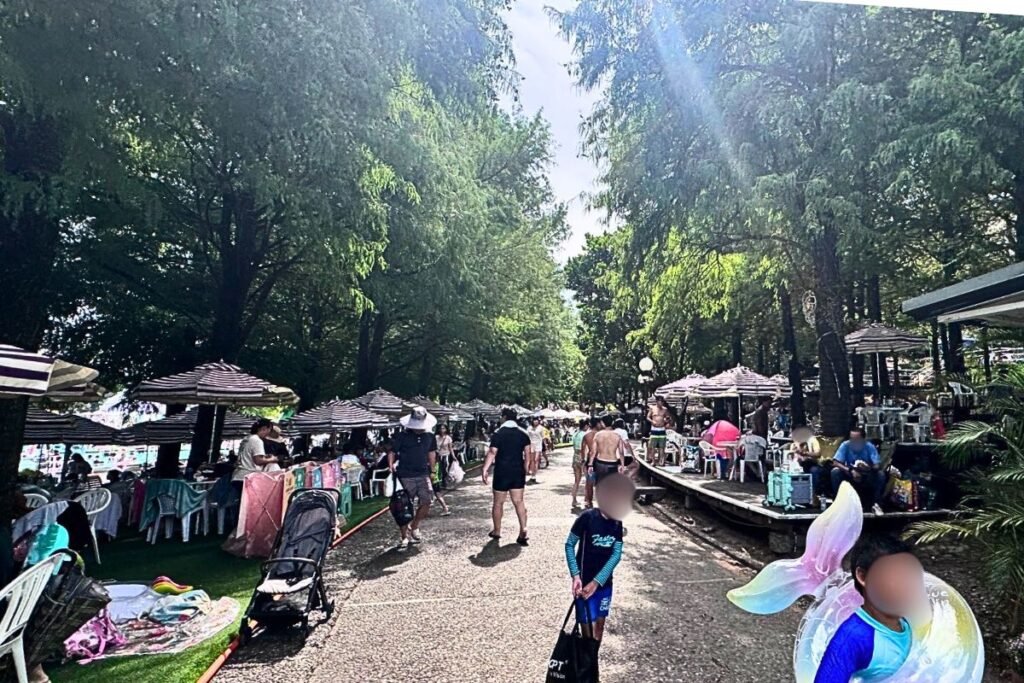 宜蘭童玩節玩水區周邊綠意樹蔭與休憩視野