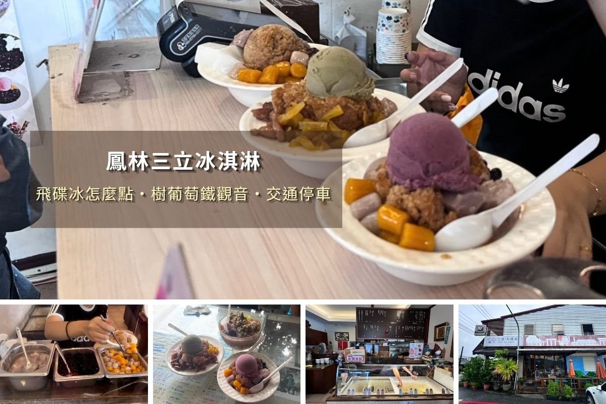 花蓮鳳林美食三立冰淇淋必吃招牌飛碟冰與樹葡萄口味